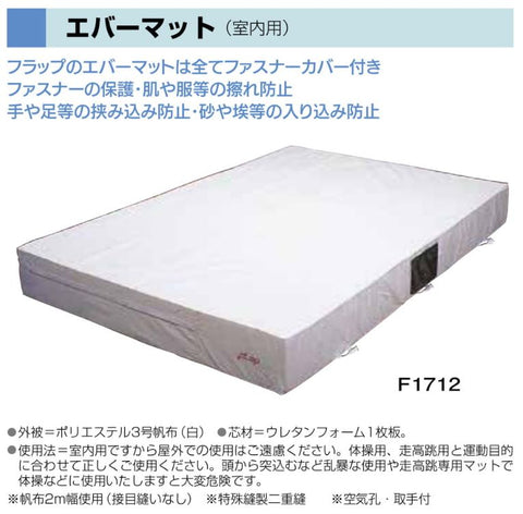 室内用エバーマット 200x300x30