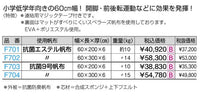 ハーフマット　９号抗菌　６０ｘ２００ｘ６