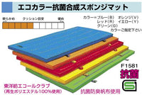 エコカラー抗菌合成スポンジマット　１２０ｘ６００ｘ６