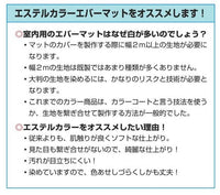 室内用エステルカラーエバーマット1枚物　１５０ｘ２００ｘ２０