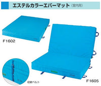 室内用エステルカラーエバーマット1枚物　１５０ｘ２００ｘ２０