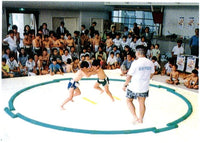 一般用室内土俵（15尺土俵・直径4.5m）