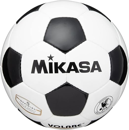 ｻｯｶｰ5号 検定球 白/黒