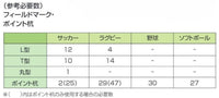 フィールドマーク十字型（青）