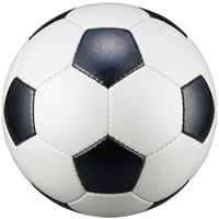 ｻｯｶｰ5号手縫い 検定球 試合球 白/黒